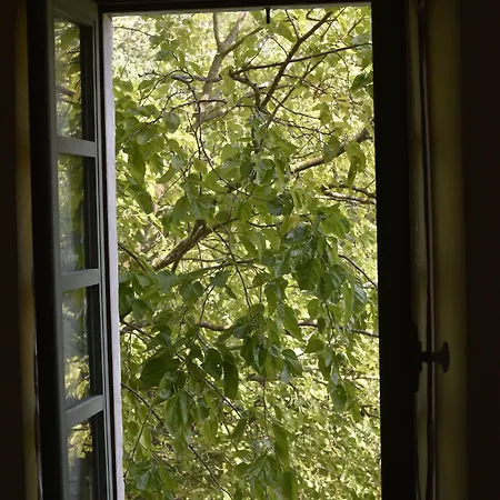 Des Sages Couette-café