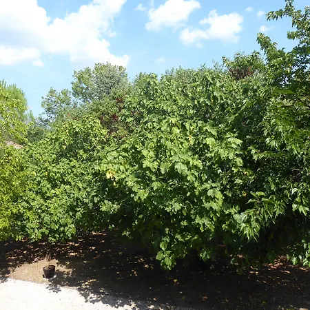 Des Sages Couette-café 3*